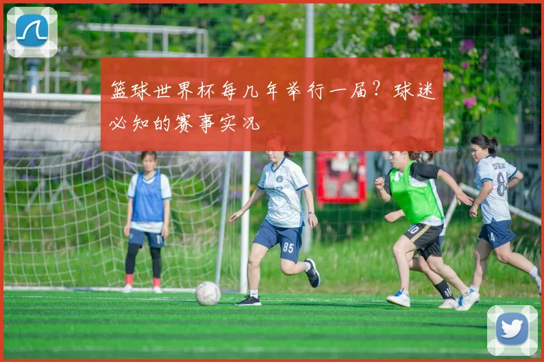 篮球世界杯每几年举行一届？球迷必知的赛事实况