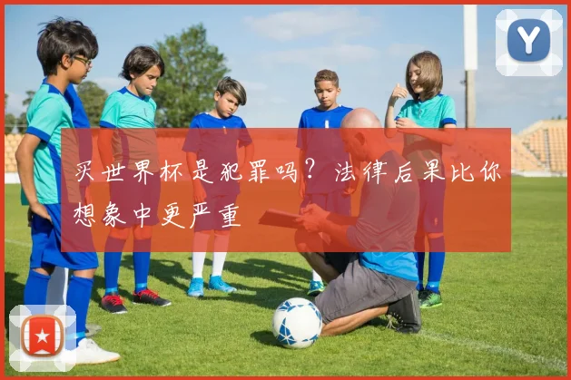 买世界杯是犯罪吗?法律后果比你想象中更严重
