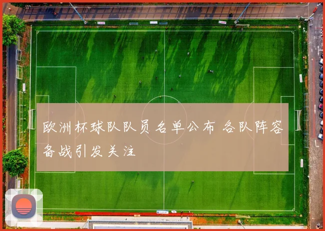 欧洲杯球队队员名单公布 各队阵容备战引发关注