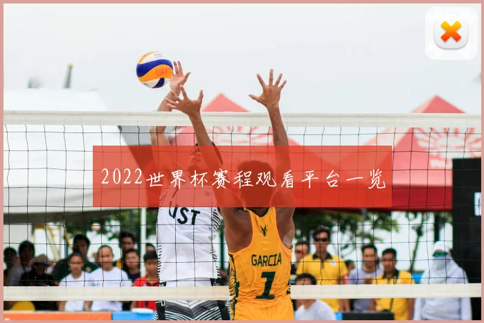 2022世界杯赛程观看平台一览