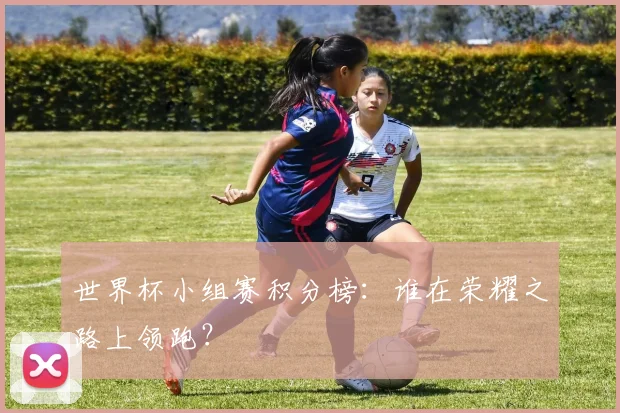 世界杯小组赛积分榜:谁在荣耀之路上领跑?
