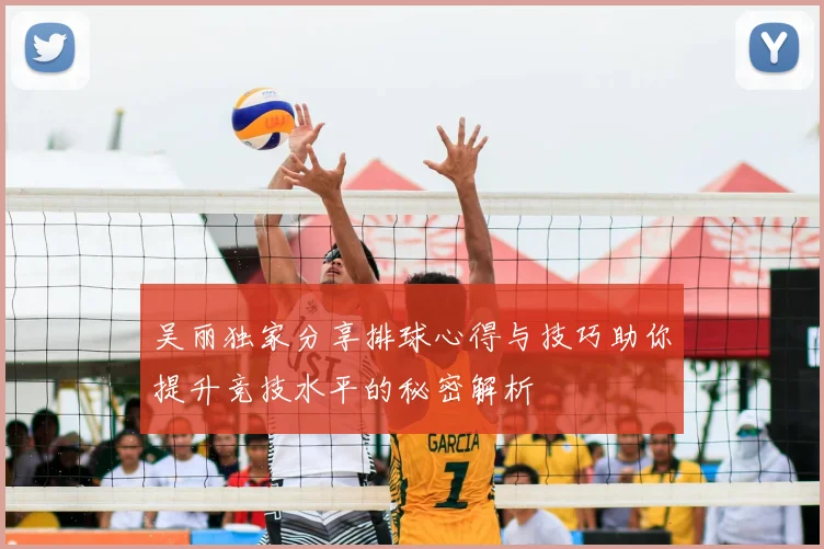 吴丽独家分享排球心得与技巧助你提升竞技水平的秘密解析